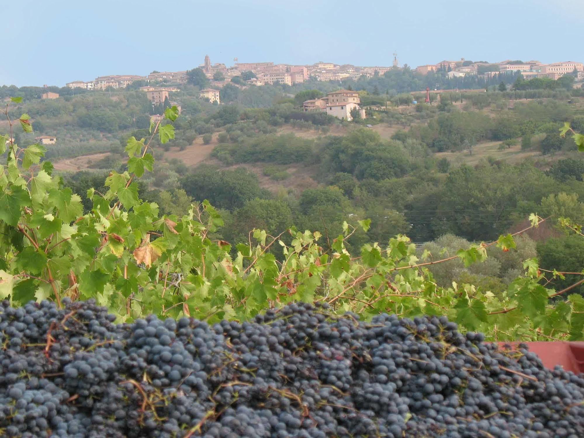 Agriturismo La Torretta Costalpino Bagian luar foto