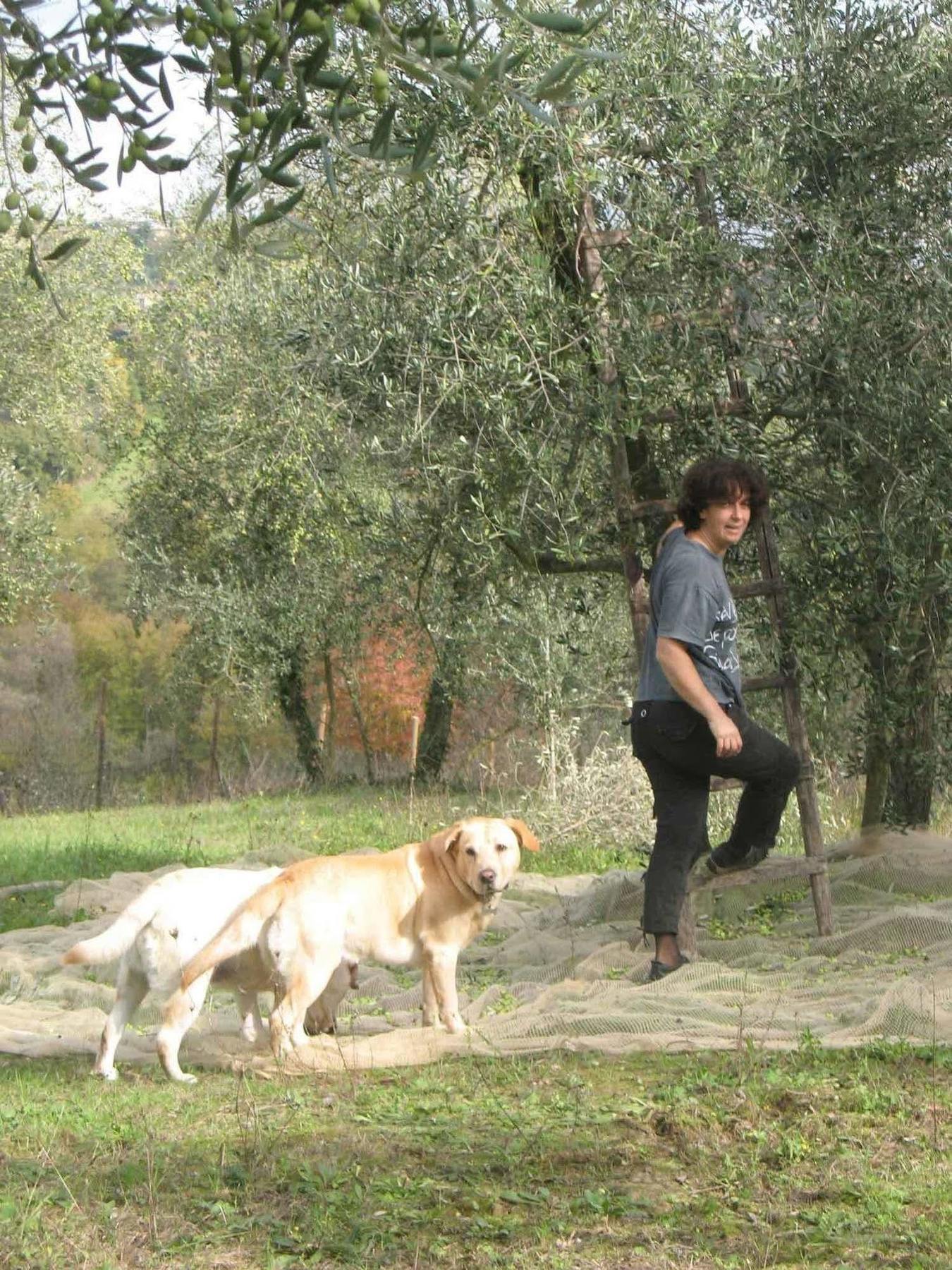 Agriturismo La Torretta Costalpino Bagian luar foto